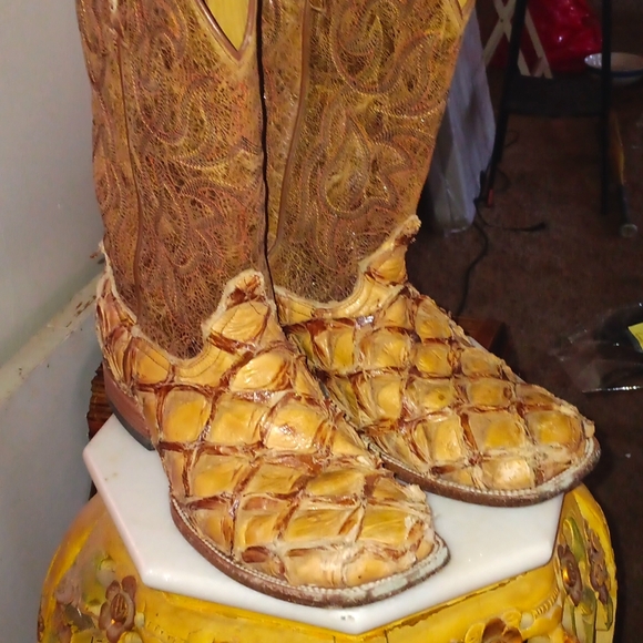 Piraucu boots. These are 760.00 new at cavenders boot city in longview tx.
